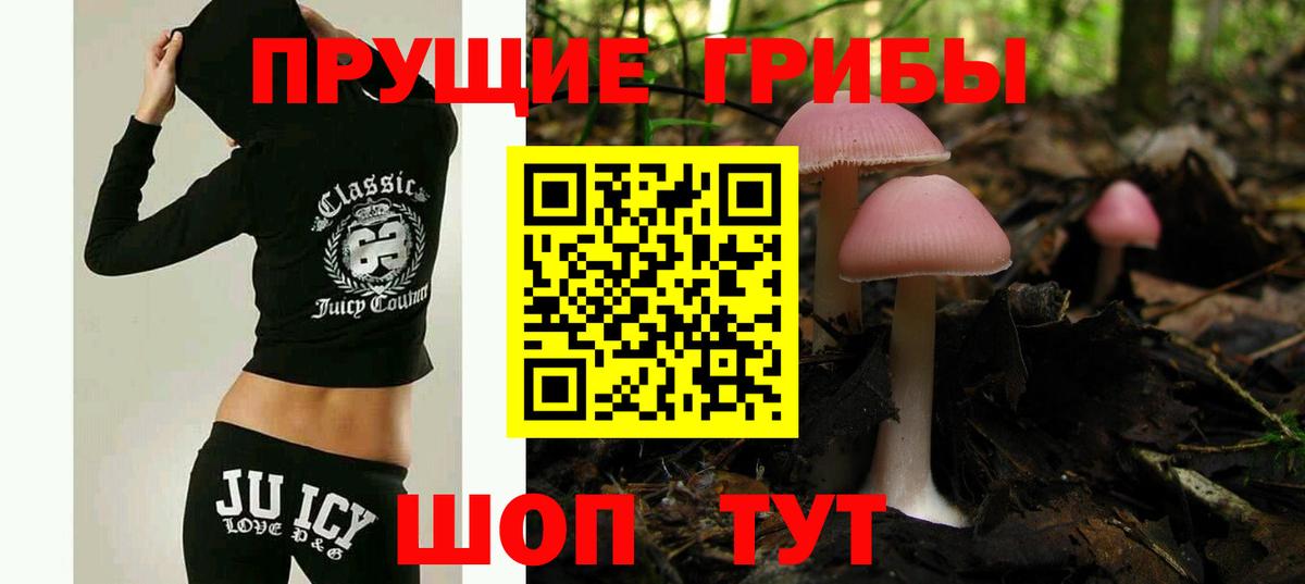 даркнет сайт  Вход с VPN  Муравленко  Псилоцибиновые грибы Cubensis 